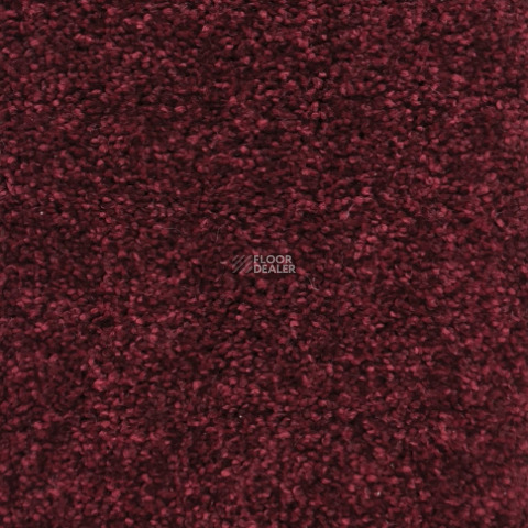 Ковролин  Bordo фото 1 | FLOORDEALER